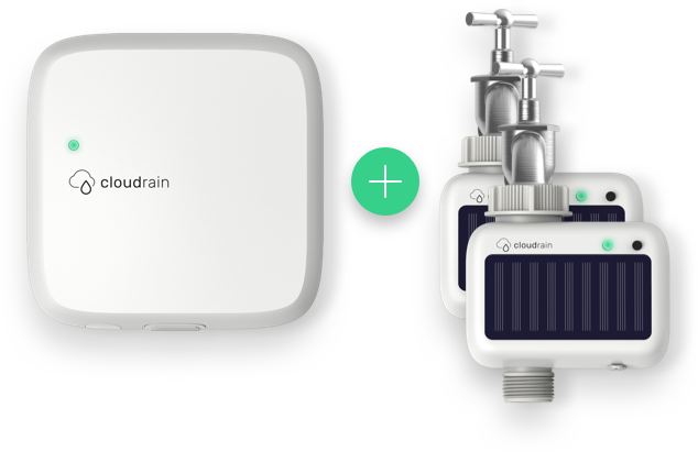 CloudRain Controller + 2 Valves